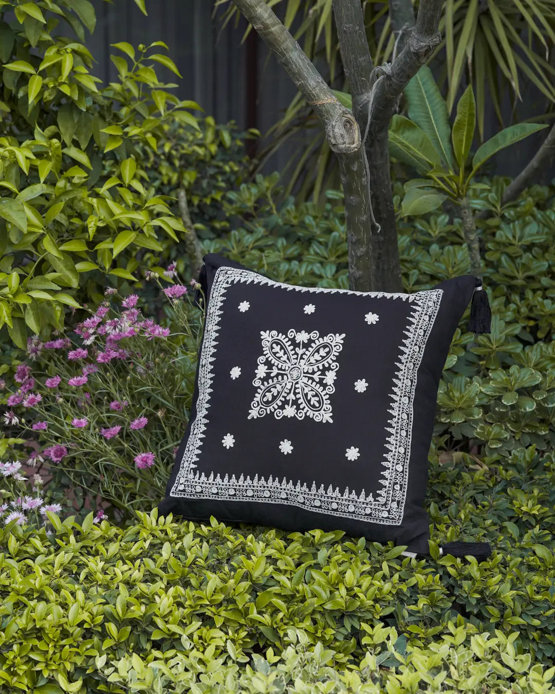 Shaheen Black