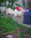 14.webp