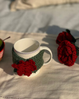 Anaar Bagh Mug Cover