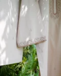 147.webp
