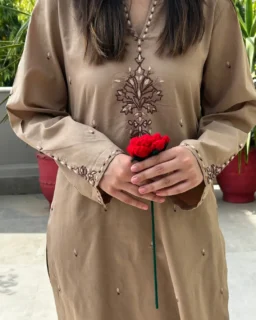 Naz Beige Embroidered Suit