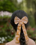 Mosammi Bow