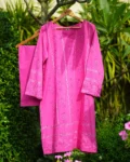 Naazeen Pink 2 Piece Suit